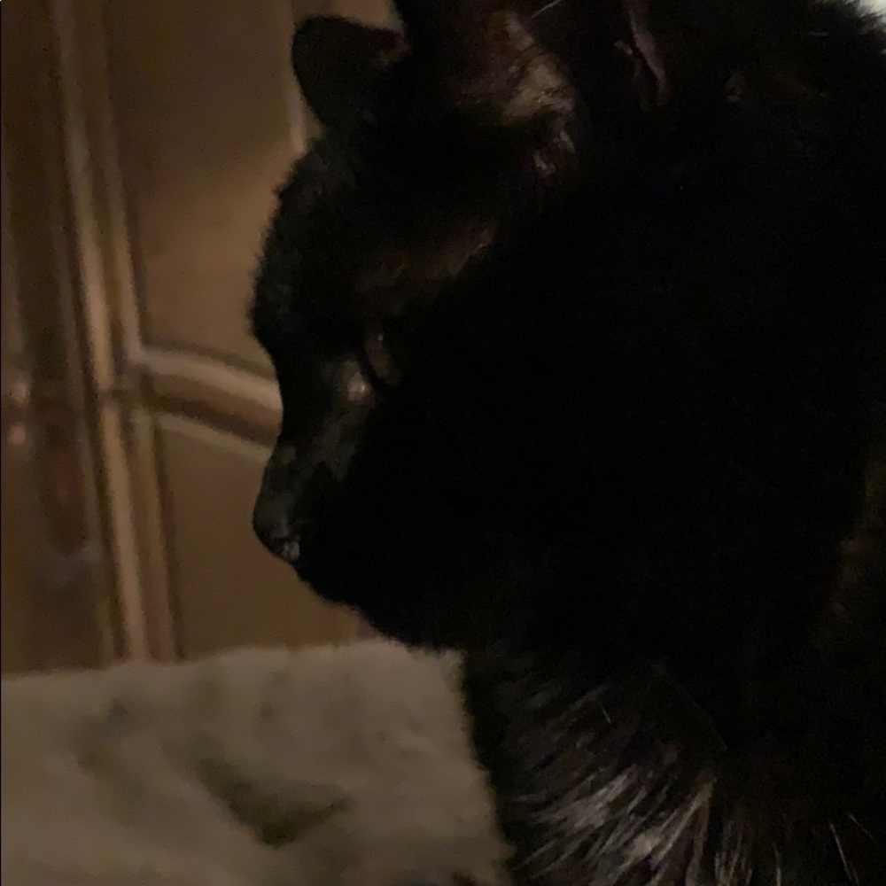Meet your Posher, Zara